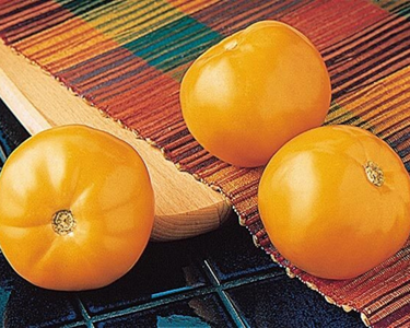 Carolina Gold Hybrid Tomato Seeds